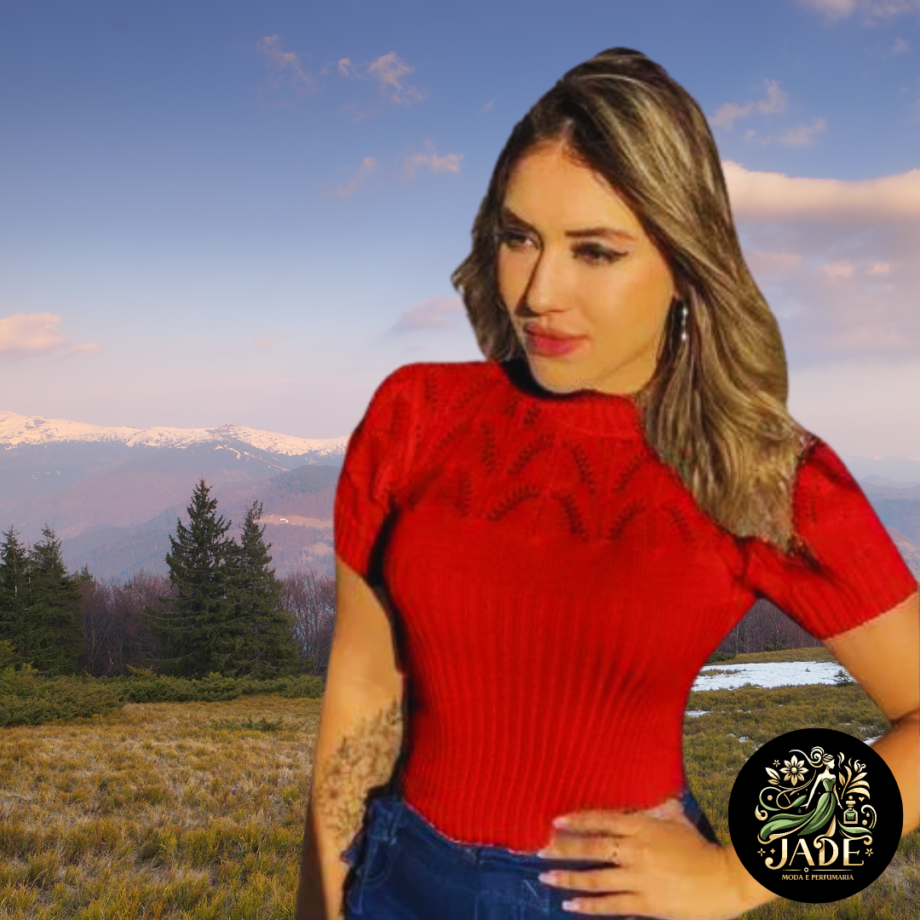 Blusa Feminina Gola Alta Manga Curta De Tricô Inverno